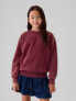 Фото #5 товара Kids Vintage Soft Washed Relaxed Sweatshirt