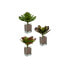 Фото #2 товара Декоративное растение Листья Большой Двухцветный Пластик 27 x 29 x 27 cm (6 штук)