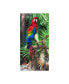 Фото #1 товара Robert Michaud 'Macaw' Canvas Art - 47" x 24" x 2"
