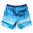 QUIKSILVER Fade Vly 14´´ Swimming Shorts