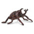 Фото #1 товара Фигурка Collecta Collected Rhinoceros Beetle Figure - Фигурка Collecta Collected Rhinoceros Beetle Figure (Собранный фенек длинноносый)