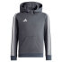 Фото #1 товара ADIDAS Tiro23L Sw hoodie