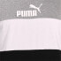 Фото #5 товара PUMA Essential+Colorblock short sleeve T-shirt