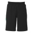 Фото #2 товара UHLSPORT ID Shorts