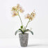 Фото #3 товара Künstliche weiße Phalaenopsis-Orchidee