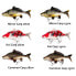 Фото #2 товара FOX RAGE Realistic Replicant Soft Lure 230 mm