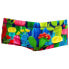 FUNKY TRUNKS Sidewinder Cacti High Swim Boxer