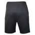 Фото #3 товара Mizuno Team Nara shorts