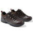 ფოტო #3 პროდუქტის CRAGHOPPERS Kiwi Lite Low Hiking Shoes