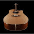 Takamine P3DC w/Softcase