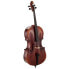 Фото #3 товара Gewa Maestro 6 Antique Cello 4/4