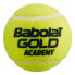 Babolat Gold Academy