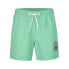 Фото #3 товара O´NEILL Cali State 15´´ Swimming Shorts