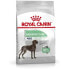 Fodder Royal Canin Adult Rice Birds 3 Kg