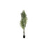 Фото #1 товара Декоративное растение DKD Home Decor Пальмовое (100 x 100 x 240 cm)