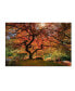 Фото #1 товара Moises Levy 'The Tree Horizontal' Canvas Art - 12" x 19"