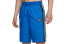 Фото #1 товара Шорты для баскетбола Nike Giannis синие 男款 CD9559-480