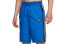 Nike Giannis CD9559-480 Shorts