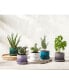 Enameled Stoneware Herb Planter with Base