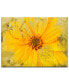 Фото #1 товара 'Painted Petals XXXVI' Canvas Wall Decor