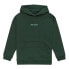 Фото #2 товара ELEMENT Simple Logo hoodie