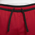 Фото #5 товара [DH9075-687] Mens Air Jordan DRI-FIT SPORT DIAMOND SHORTS