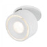 PAULMANN Spircle - Surfaced lighting spot - 1 bulb(s) - 8 W - 3000 K - 530 lm - White