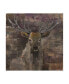 Фото #1 товара Albena Hristova The Leader Deer Canvas Art - 19.5" x 26"