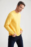 Regular Fit Bisiklet Yaka Basic Pamuklu Sweatshirt