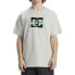 ფოტო #1 პროდუქტის DC SHOES Flyer short sleeve T-shirt