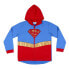 Толстовка CERDA GROUP DC Superhero Girls full zip sweatshirt Синий, 10 лет - фото #1