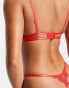 Фото #2 товара Bluebella Grace delicate eyelash lace string thong in red