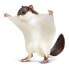 Фото #1 товара SAFARI LTD Flying Squirrel Figure