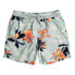 Фото #2 товара BILLABONG Vacay Swimming Shorts