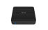 ZOTAC ZBOX-CI343-BE N100 Intel DDR5 HDMI DP - Server Barebone - DDR5