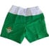 Фото #1 товара REAL BETIS Swimming Shorts