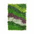 Фото #2 товара Вертикальный садовый комплект Полевые цветы Разноцветный Пластик 100 x 5 x 150 cm (8 штук)