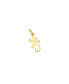 ფოტო #1 პროდუქტის Mini Gold Lizard Charm