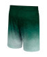 Фото #4 товара Men's Green Michigan State Spartans Walter Shorts