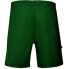 Фото #3 товара Shorts Zina Contra M 9CB8-821E8_20230203145554 dark green