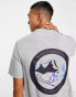 Фото #1 товара Farah Reggie t-shirt in grey marl with front and back graphics Exclusive to ASOS