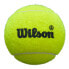 Фото #3 товара WILSON Premier padel balls