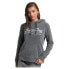 Фото #1 товара SUPERDRY Vintage Logo Borough hoodie