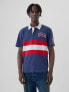 Team USA Polo Shirt