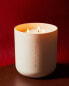 (500 g) cèdre épicé scented candle