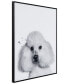 "Poodle" Pet Paintings on Printed Glass Encased with A Black Anodized Frame, 24" x 18" x 1"