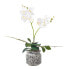 Фото #1 товара Искусственные цветы Homescapes Künstliche weiß-gelbe Phalaenopsis