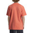 ფოტო #3 პროდუქტის DC SHOES Dcstar Pigment short sleeve T-shirt