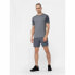 Men's Sports Shorts 4F Dark grey