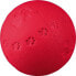 Фото #2 товара Игрушка для собак TRIXIE ПЛЯЖНАЯ мяч 9,5 см